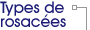 Les diff�rents types de rosac�es