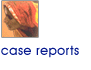 Case reports