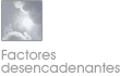 Factores desencadenantes