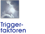 Triggerfaktoren