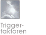 Triggerfaktoren