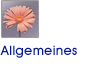 Allgemeines