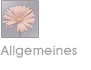 Allgemeines