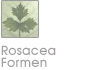 Rosacea Formen