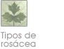 Tipos de ros�cea