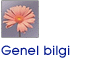 Genel bilgi