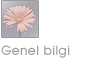 Genel bilgi