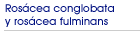Ros�cea conglobata y ros�cea fulminans
