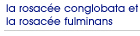 la rosac�e conglobata et la rosac�e fulminans