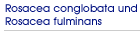 Rosazea conglobata und Rosazea fulminans