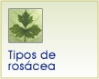 Tipos de ros�cea