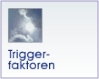 Triggerfaktoren
